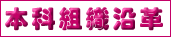 本科組織沿革
